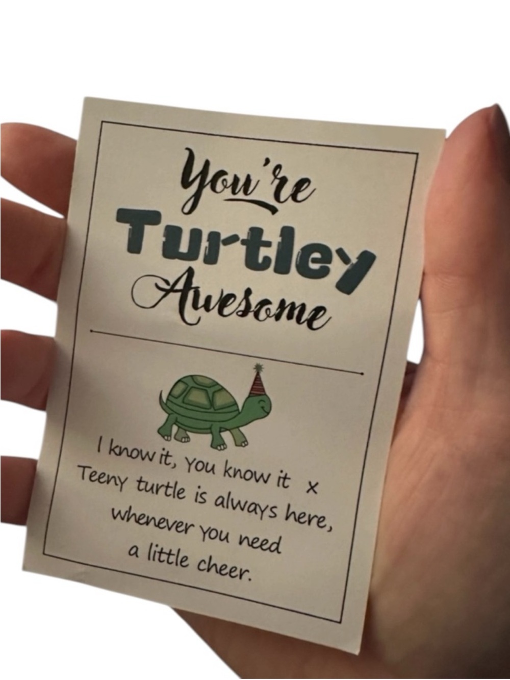 Emotional Support Turtle Crochet Plush Desk Buddy Gift w Card NEW - Picture 10 of 14